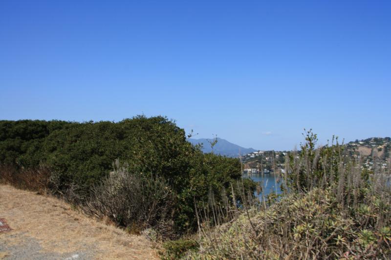 IMG_1522.JPG