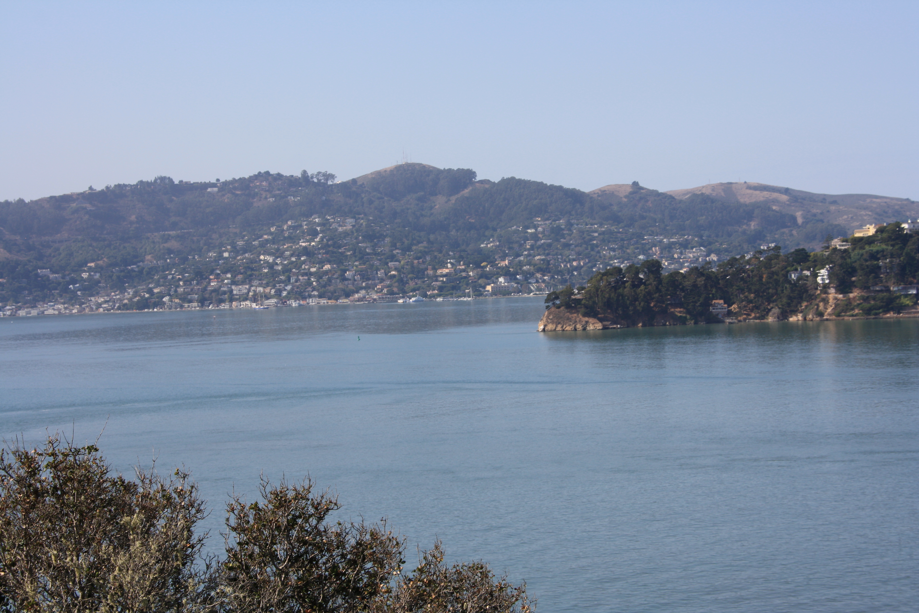 IMG_1529.JPG