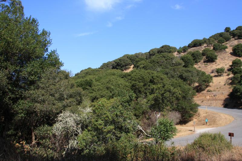 IMG_1552.JPG