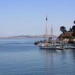 IMG_1595.JPG