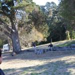 IMG_1674.JPG