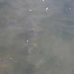 IMG_1743.JPG