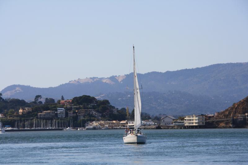 IMG_1765.JPG