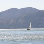 IMG_1769.JPG