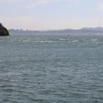 IMG_1788.JPG