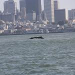 IMG_1885.JPG