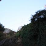 IMG_2421.JPG