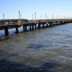 IMG_2449.JPG