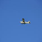 IMG_2455.JPG