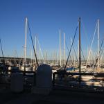 IMG_2496.JPG