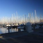 IMG_2497.JPG