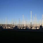 IMG_2499.JPG