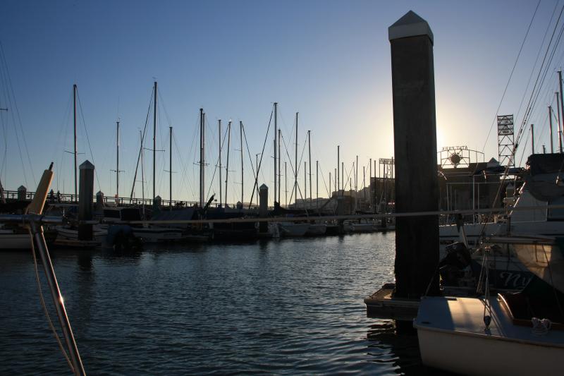 IMG_2504.JPG