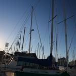 IMG_2510.JPG
