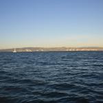 IMG_2520.JPG