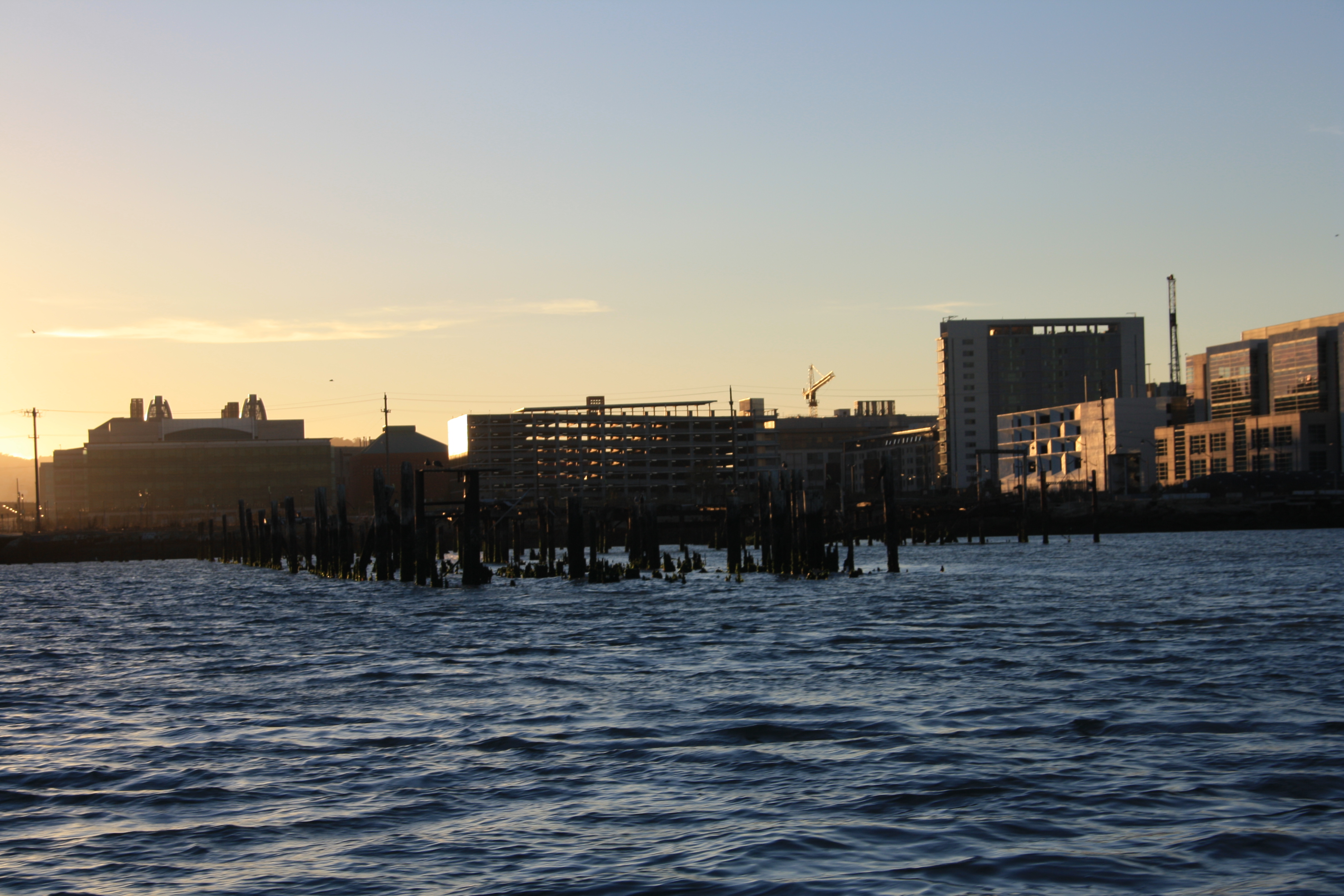 IMG_2550.JPG