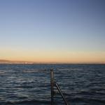 IMG_2553.JPG