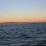 IMG_2583.JPG