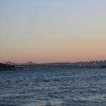 IMG_2594.JPG