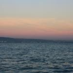 IMG_2595.JPG