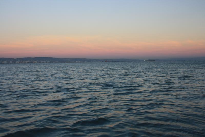 IMG_2597.JPG