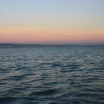 IMG_2597.JPG