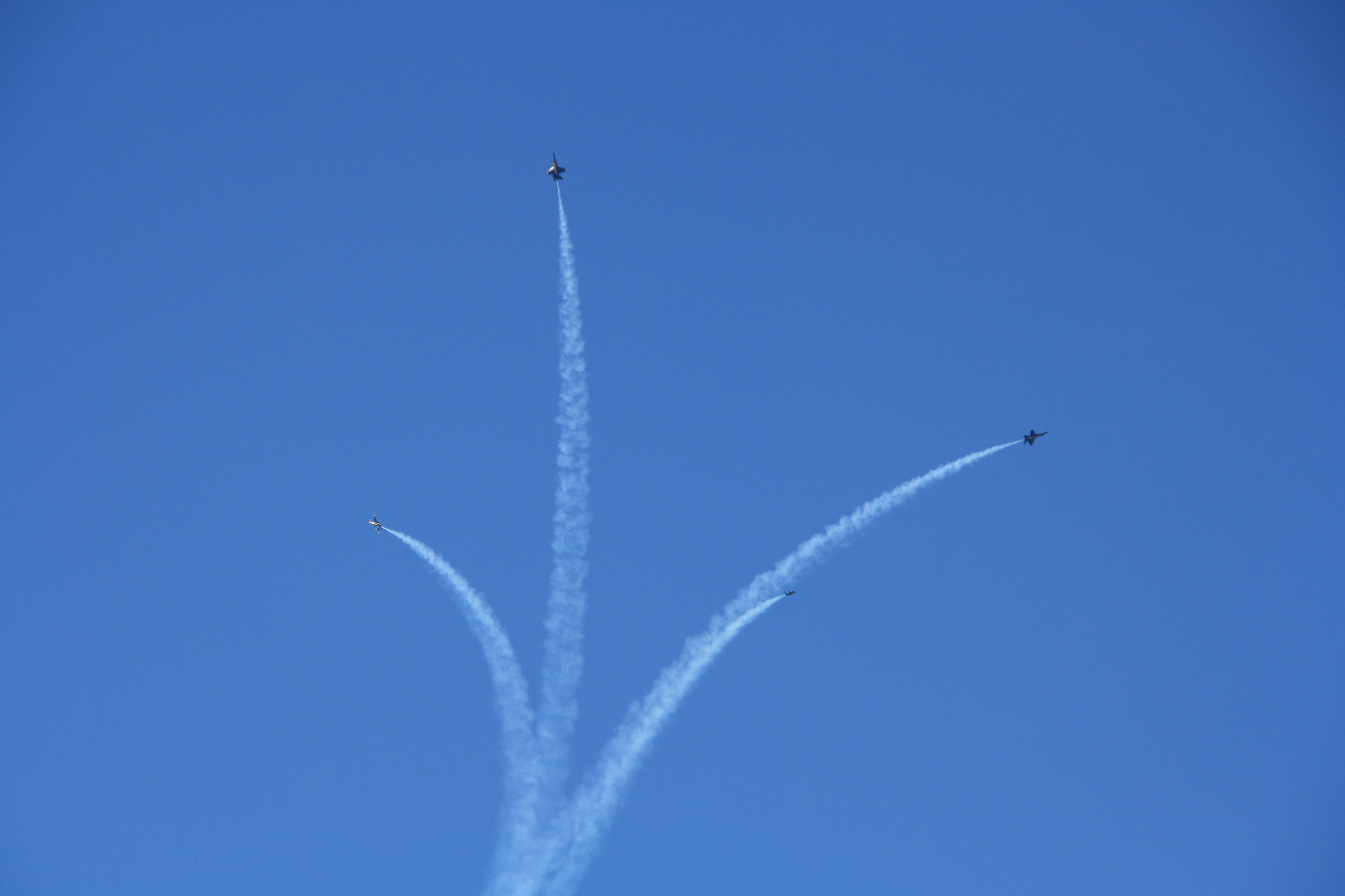 IMG_2230.JPG