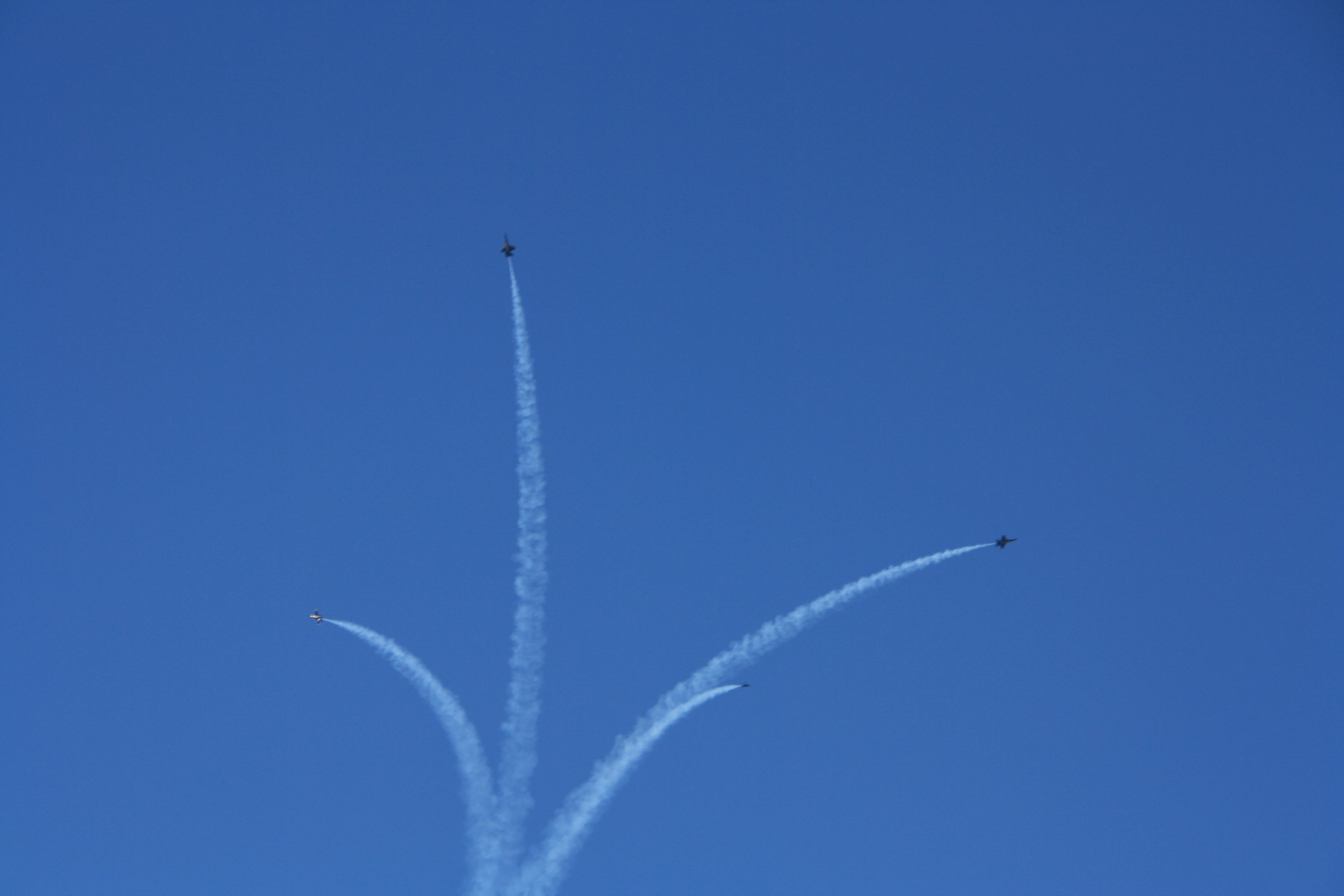 IMG_2231.JPG