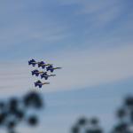 IMG_2401.JPG