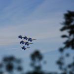IMG_2403.JPG