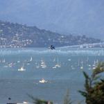 IMG_2252.JPG