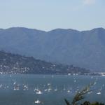 IMG_2255.JPG