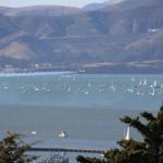 IMG_2249.JPG