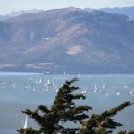 IMG_2250.JPG