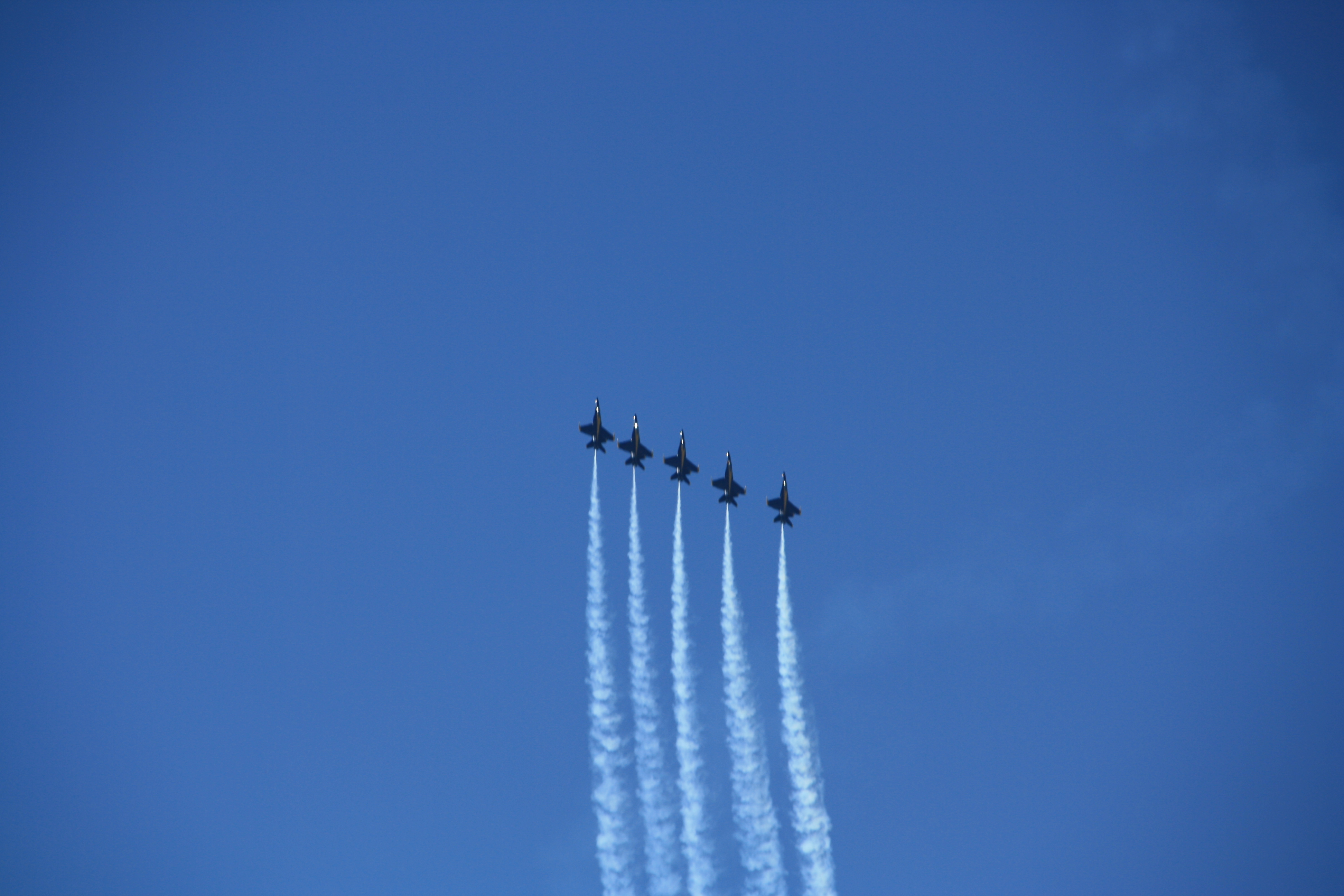 IMG_2210.JPG