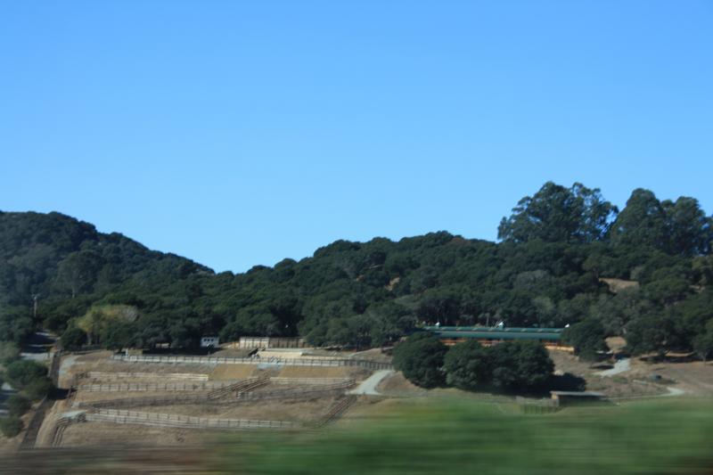 IMG_2619.JPG