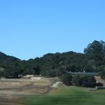 IMG_2619.JPG