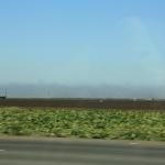 IMG_2626.JPG