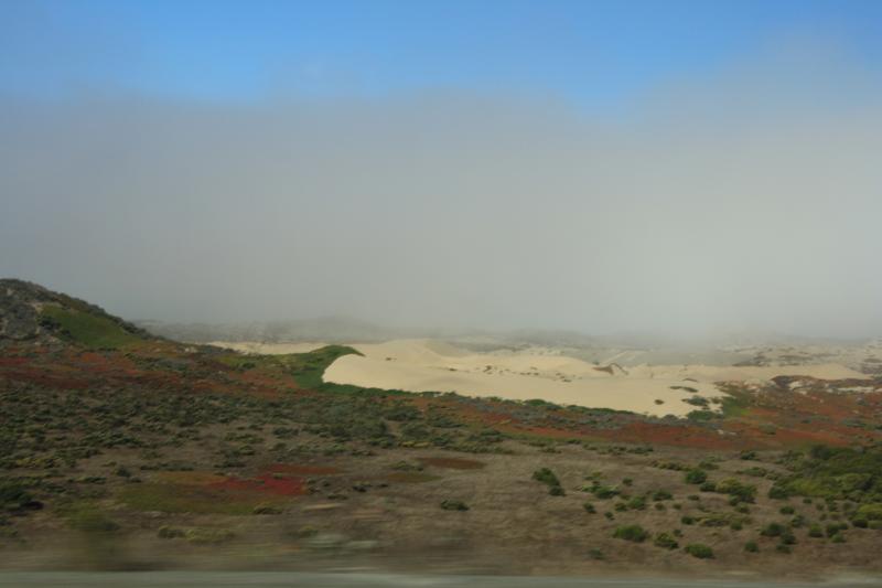 IMG_2631.JPG