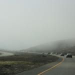 IMG_2633.JPG