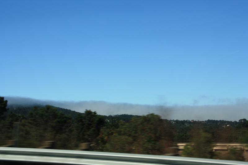 IMG_2781.JPG