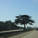 IMG_2636.JPG