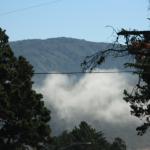 IMG_2785.JPG