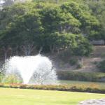 IMG_2642.JPG