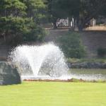 IMG_2643.JPG