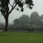IMG_2644.JPG