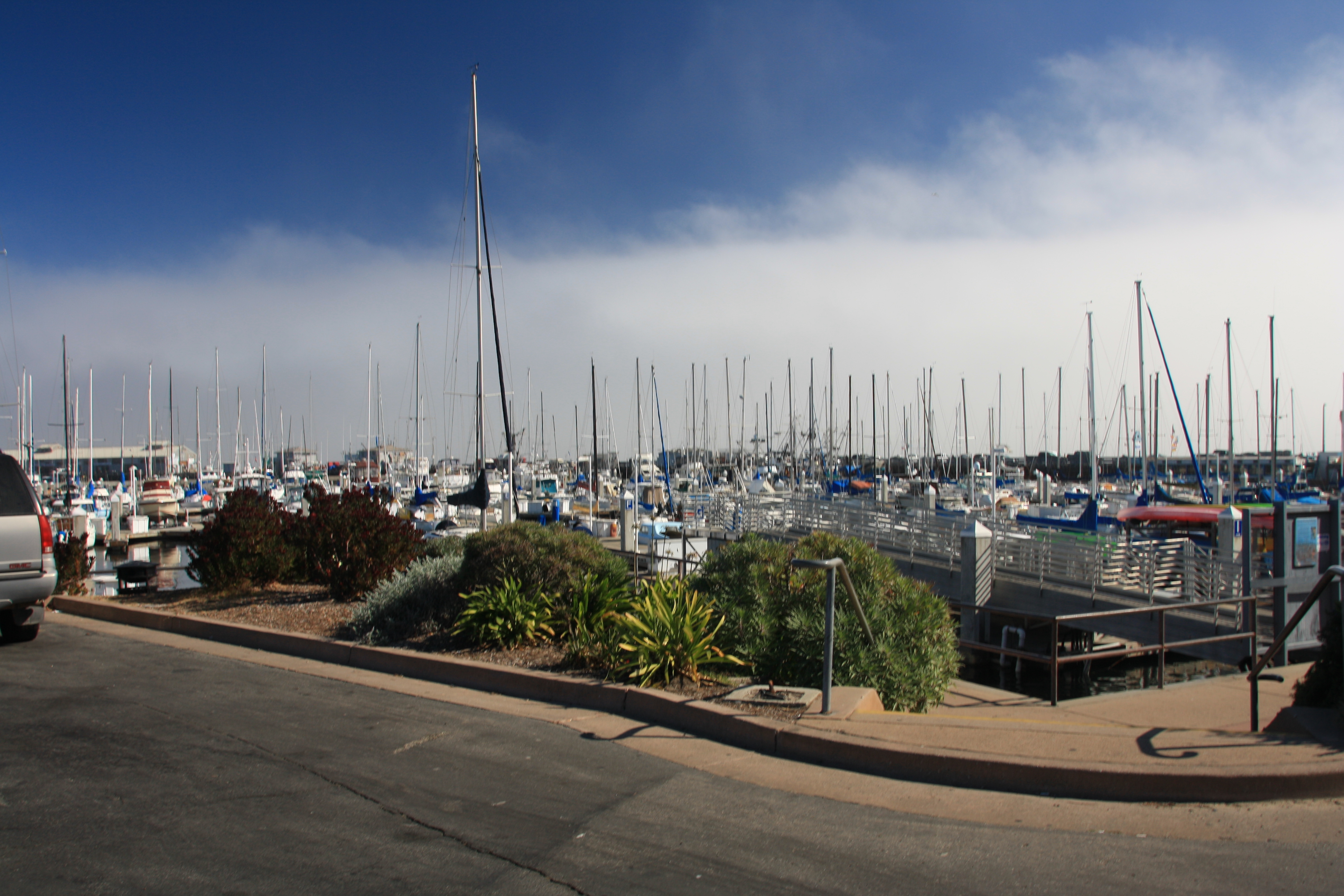 IMG_2656.JPG