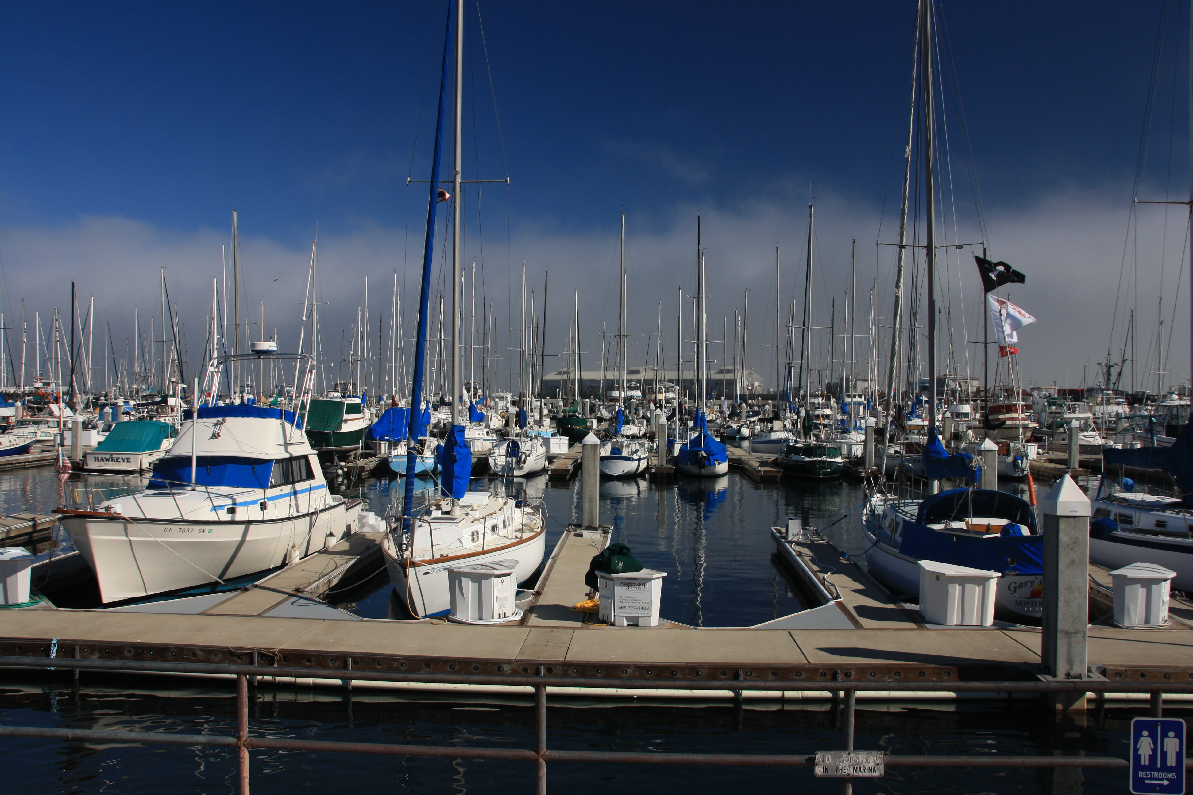 IMG_2657.JPG