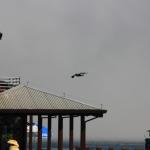 IMG_2667.JPG