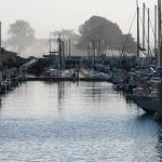 IMG_2672.JPG